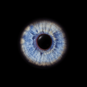 Blende8 Iris Homepage 11