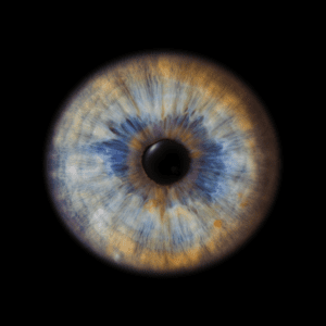 Blende8 Iris Homepage 15