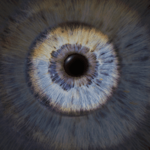 Blende8 Iris Homepage 28
