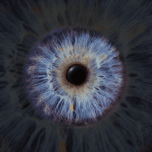 Blende8 Iris Homepage 29