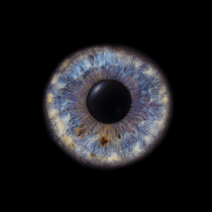 Blende8 Iris Homepage 3