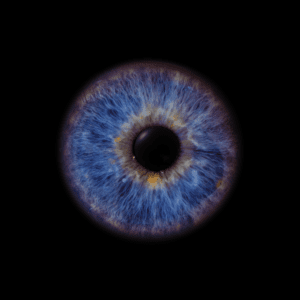 Blende8 Iris Homepage 34