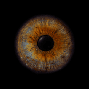 Blende8 Iris Homepage 36
