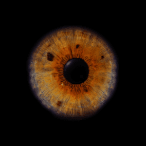 Blende8 Iris Homepage 38
