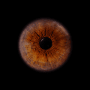 Blende8 Iris Homepage 40