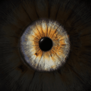 Blende8 Iris Homepage 43