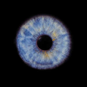 Blende8 Iris Homepage 44