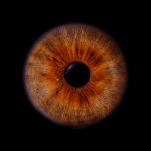 Blende8 Iris Homepage 45