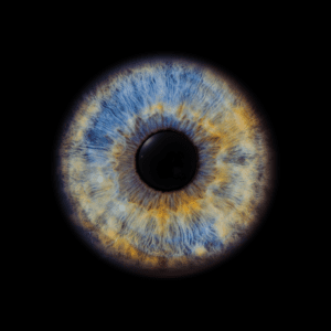 Blende8 Iris Homepage 46