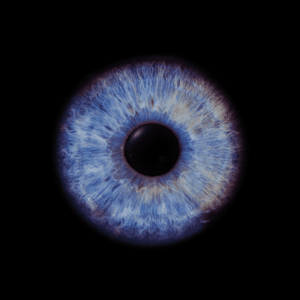 Blende8 Iris Homepage 47