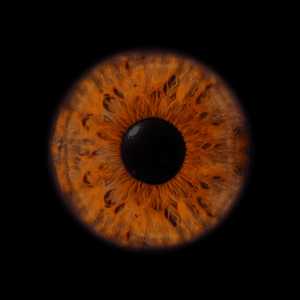 Blende8 Iris Homepage 48