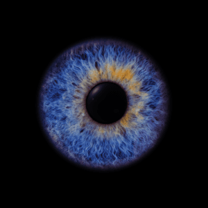 Blende8 Iris Homepage 49