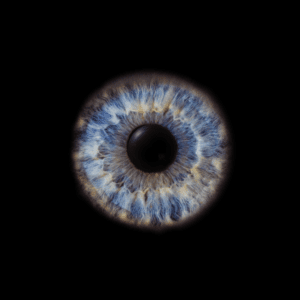 Blende8 Iris Homepage 5