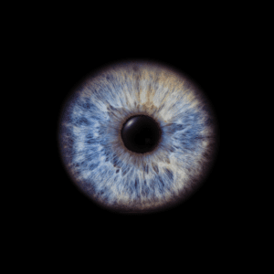 Blende8 Iris Homepage 9
